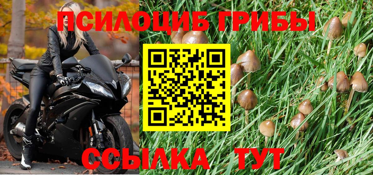 Галлюциногенные грибы мухоморы Вязники